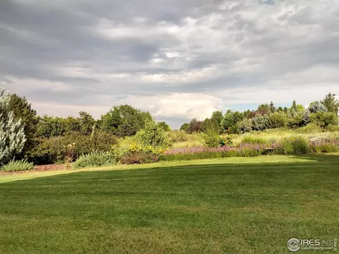 2156 Meander Rd, Windsor, CO 80550 photo 35