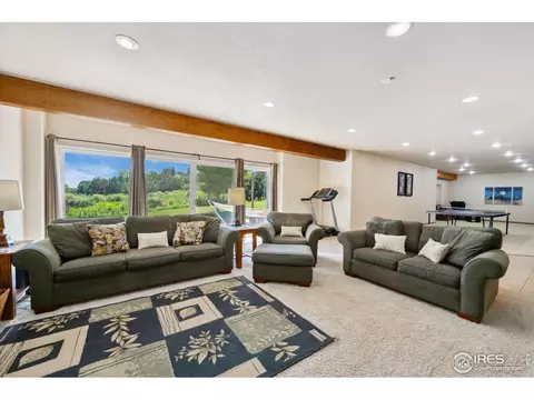 2156 Meander Rd, Windsor, CO 80550 photo 25