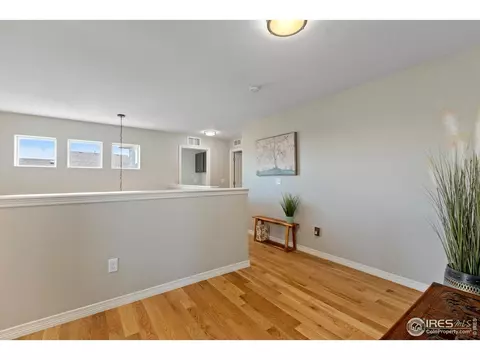6042 Carmon Dr, Windsor, CO 80550 photo 21