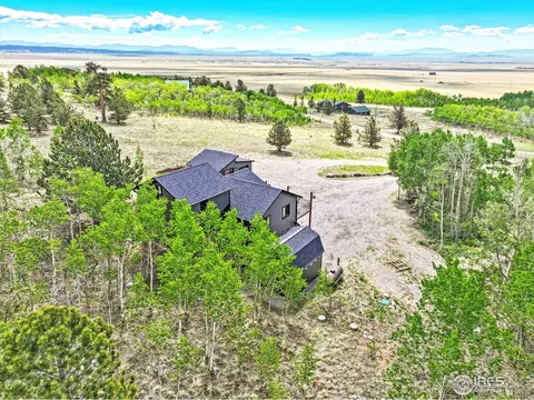 1424 Sheep Ridge Rd, Fairplay, CO 80440