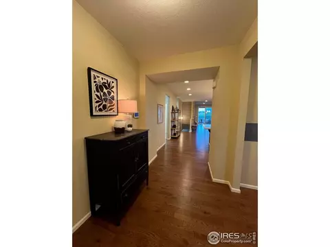 306 Baja Dr, Windsor, CO 80550 photo 2