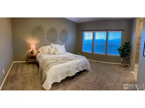 306 Baja Dr, Windsor, CO 80550 photo 14