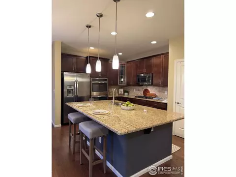306 Baja Dr, Windsor, CO 80550 photo 8