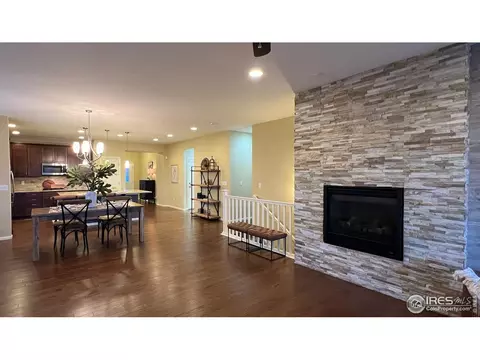 306 Baja Dr, Windsor, CO 80550 photo 10