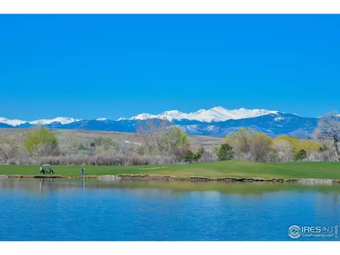 306 Baja Dr, Windsor, CO 80550 photo 35