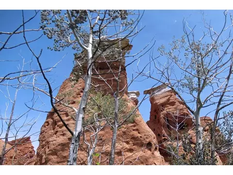 Undisclosed, Sand Creek Township, CO 82070