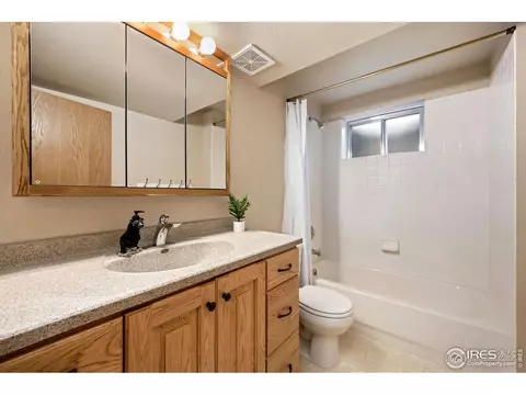908 Pine Dr, Windsor, CO 80550 photo 23
