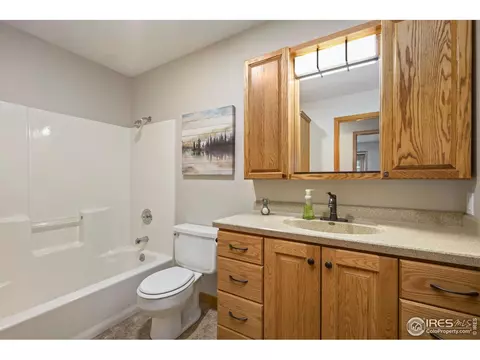 908 Pine Dr, Windsor, CO 80550 photo 18
