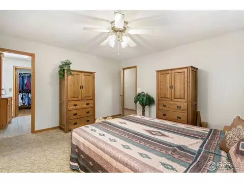 908 Pine Dr, Windsor, CO 80550 photo 11