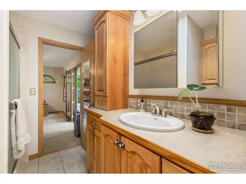 908 Pine Dr, Windsor, CO 80550 photo 14