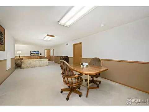 908 Pine Dr, Windsor, CO 80550 photo 19