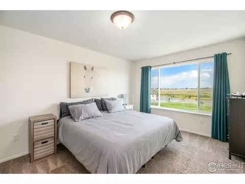 1103 Ibex Dr, Windsor, CO 80550 photo 15