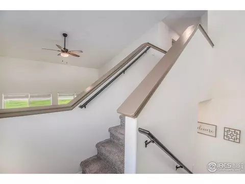 1103 Ibex Dr, Windsor, CO 80550 photo 14