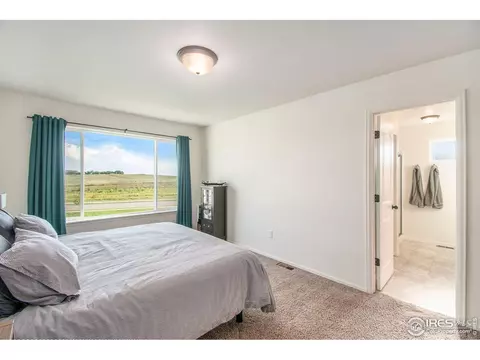 1103 Ibex Dr, Windsor, CO 80550 photo 16