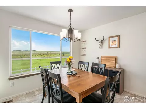 1103 Ibex Dr, Windsor, CO 80550 photo 8