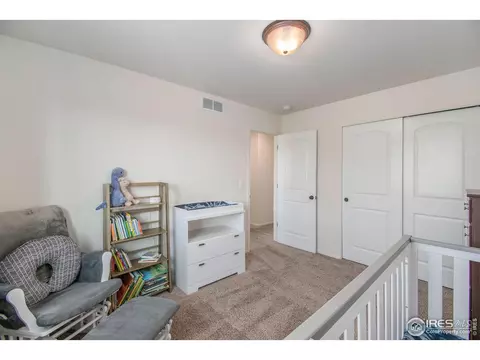 1103 Ibex Dr, Windsor, CO 80550 photo 26