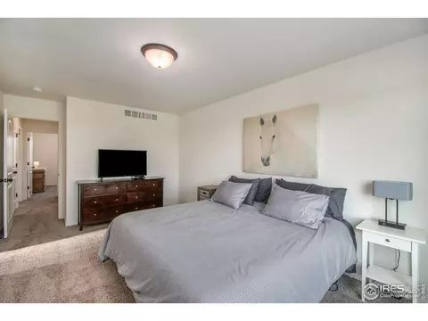 1103 Ibex Dr, Windsor, CO 80550 photo 17