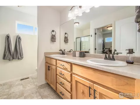1103 Ibex Dr, Windsor, CO 80550 photo 19