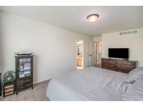 1103 Ibex Dr, Windsor, CO 80550 photo 18
