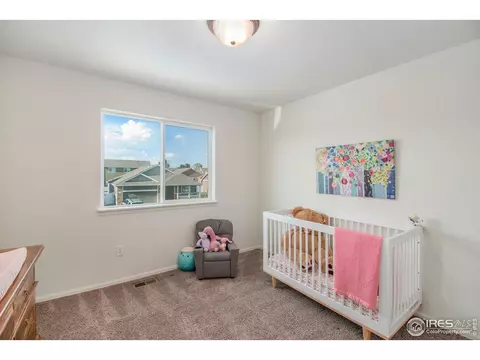 1103 Ibex Dr, Windsor, CO 80550 photo 21