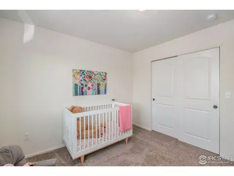 1103 Ibex Dr, Windsor, CO 80550 photo 22