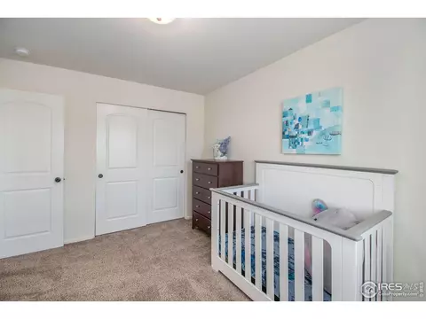 1103 Ibex Dr, Windsor, CO 80550 photo 27