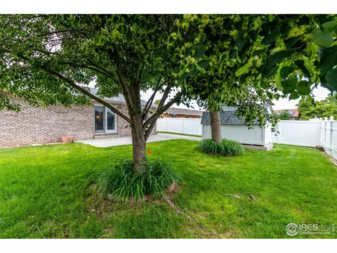 209 E Chestnut St, Windsor, CO 80550 photo 31