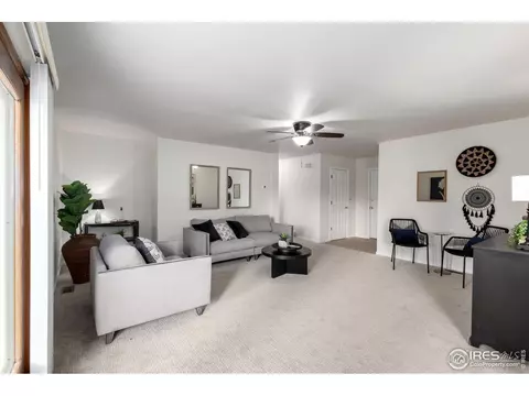 209 E Chestnut St, Windsor, CO 80550 photo 9