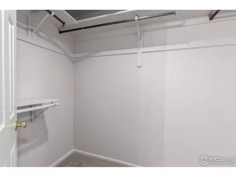 209 E Chestnut St, Windsor, CO 80550 photo 19