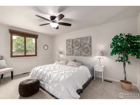 209 E Chestnut St, Windsor, CO 80550 photo 16