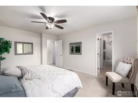 209 E Chestnut St, Windsor, CO 80550 photo 14