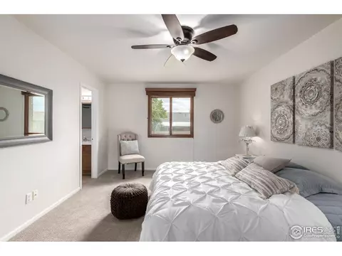 209 E Chestnut St, Windsor, CO 80550 photo 15