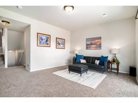 2055 Grain Bin Dr, Windsor, CO 80550 photo 16