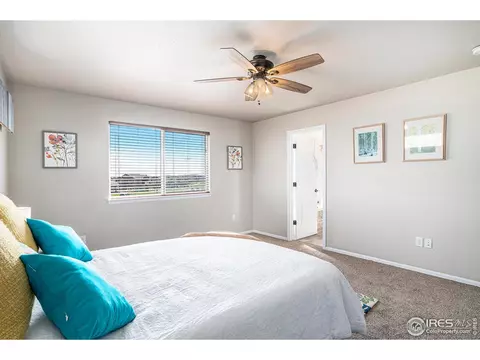 2055 Grain Bin Dr, Windsor, CO 80550 photo 19