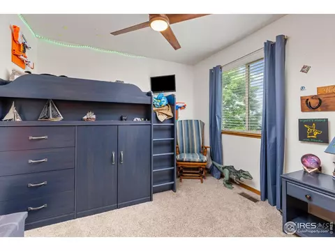 1111 Valley Pl, Windsor, CO 80550 photo 23