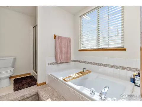 1111 Valley Pl, Windsor, CO 80550 photo 25