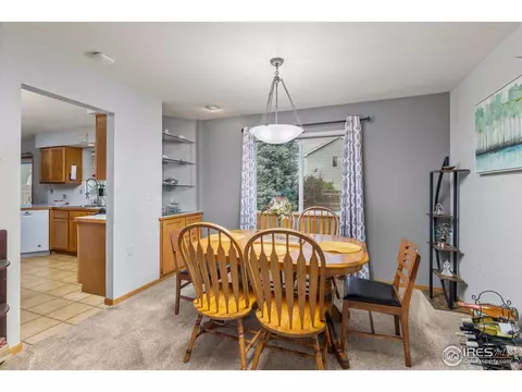 1111 Valley Pl, Windsor, CO 80550 photo 10