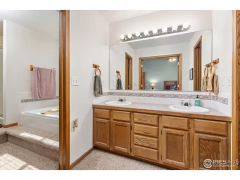 1111 Valley Pl, Windsor, CO 80550 photo 20