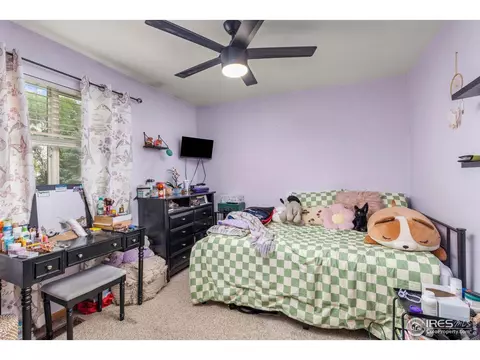 1111 Valley Pl, Windsor, CO 80550 photo 24