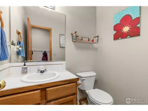 1111 Valley Pl, Windsor, CO 80550 photo 17