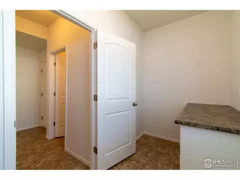 911 Mt Shavano Ave, Severance, CO 80550 photo 22
