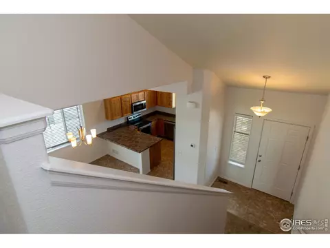911 Mt Shavano Ave, Severance, CO 80550 photo 13