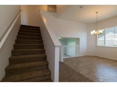 911 Mt Shavano Ave, Severance, CO 80550 photo 5