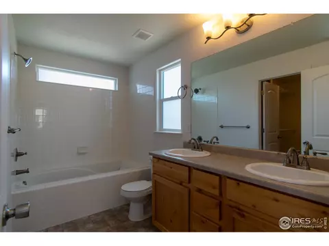911 Mt Shavano Ave, Severance, CO 80550 photo 14