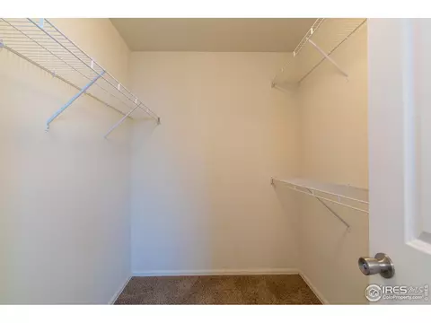 911 Mt Shavano Ave, Severance, CO 80550 photo 15