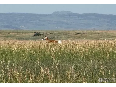 1 Tbd Ffd25-0005 Lota Co Road 15, Carr, CO 80612 photo 9