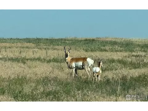 1 Tbd Ffd25-0005 Lota Co Road 15, Carr, CO 80612 photo 7