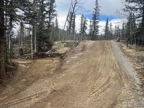 243 Bear Way, Jefferson, CO 80456 photo 7
