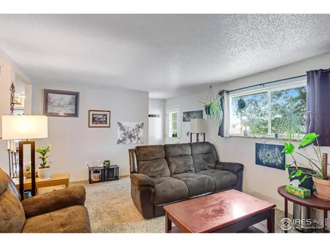 903 3rd St, Pierce, CO 80650 photo 7