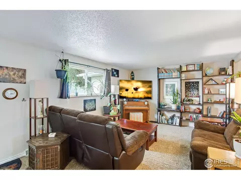 903 3rd St, Pierce, CO 80650 photo 5